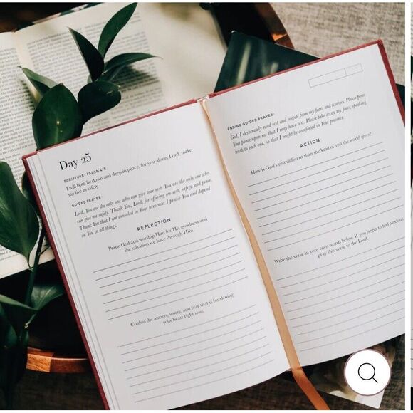 The Daily Grace Co Scripture for Anxiety Journal & Verse Finders Bible Index Tab - Picture 3 of 9